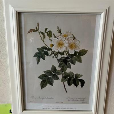framed botanicals, yellow and white