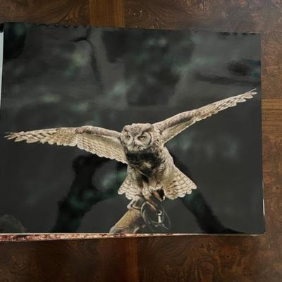 amazing travel photos by Bernie Greenwald, 11x13" and up, would make a great gallery wall