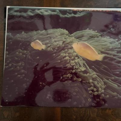 amazing travel photos by Bernie Greenwald, 11x13" and up, would make a great gallery wall