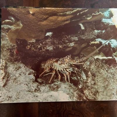 amazing travel photos by Bernie Greenwald, 11x13" and up, would make a great gallery wall
