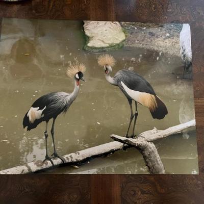 amazing travel photos by Bernie Greenwald, 11x13" and up, would make a great gallery wall