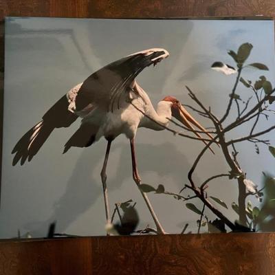 amazing travel photos by Bernie Greenwald, 11x13" and up, would make a great gallery wall