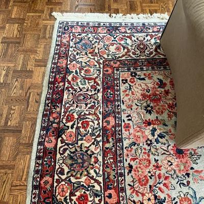 pale green Kerman style Persian rug, red and coral, 10x12