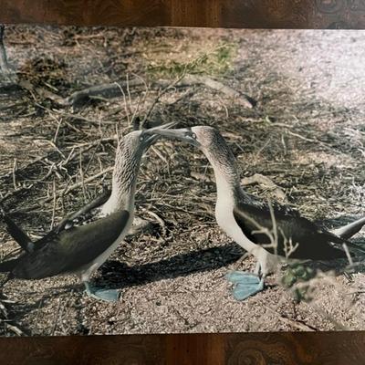 amazing travel photos by Bernie Greenwald, 11x13" and up, would make a great gallery wall