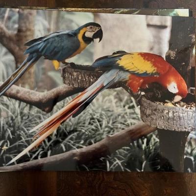 amazing travel photos by Bernie Greenwald, 11x13" and up, would make a great gallery wall