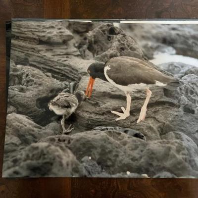 amazing travel photos by Bernie Greenwald, 11x13" and up, would make a great gallery wall