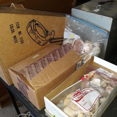 Sea shell collection 