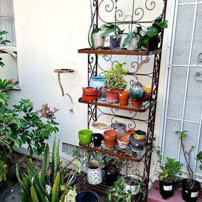 Bakers Rack, Plants