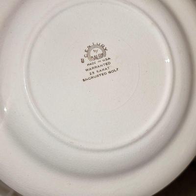 Century by Salem China Mark