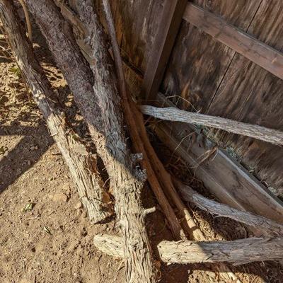 Cedar fence posts
