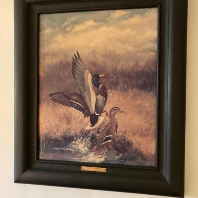 Floyd Broadbent "Puddle Jumpers"