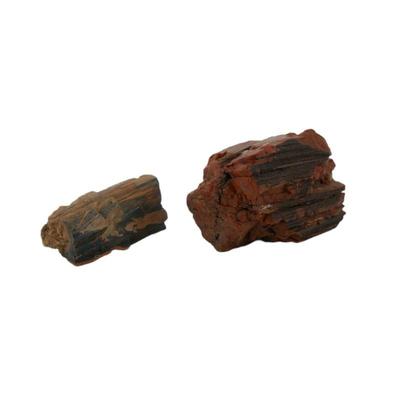 Petrified wood
