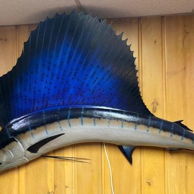Sail Fish ( Beak Cracked). 6.5 Feet Long