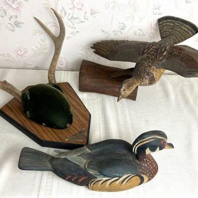 duck & pheasant decoy & mounted stag antlers