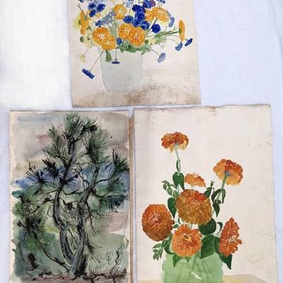 Three Antique Original Watercolors of Florals / Australian Pine, One Signed Violet McCluskey
