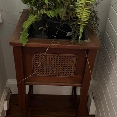 1840s Mahogany & Wicker Fern Stand
with adjustable insert

