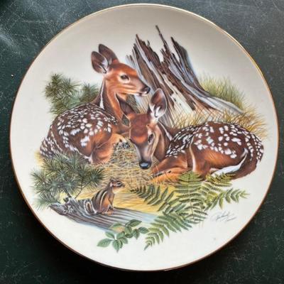 set of decorative plates with nature scenes