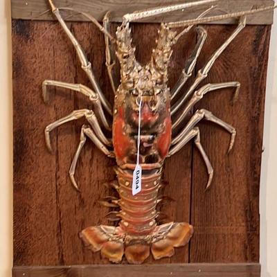 Stuffed Lobster