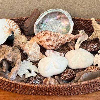 MKM182- She Sells Real Sea Shells, Woven Basket & More