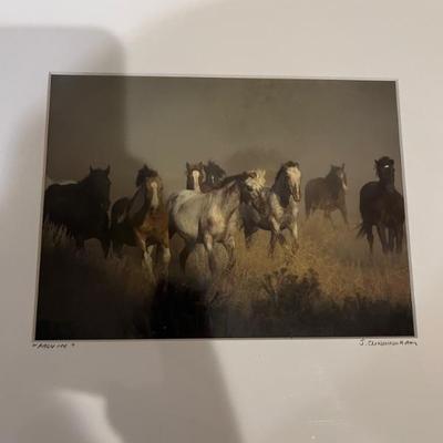 3 matted photographs of horses, signed, Cunningham, Pomerantz