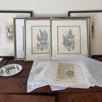 Botanical Prints with Paper Etchings