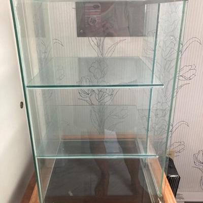 Antique show case