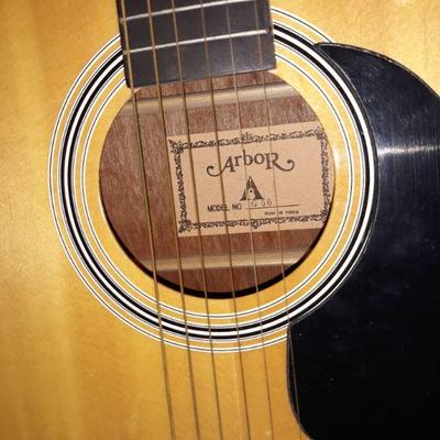 Arbor guitar