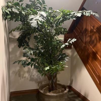 Large Faux Plant 
Stands 7 feet tall, base is 25 inches in diameter $70.00