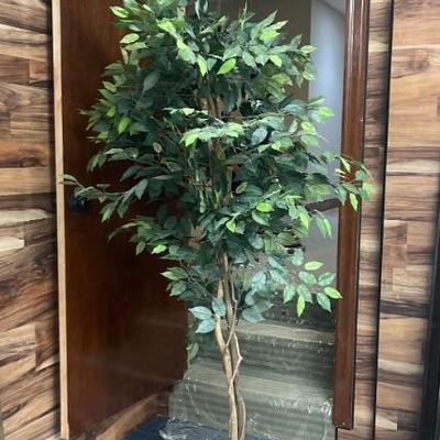 Faux Ficus Tree 
Stands 7 feet tall, base is 10 inches in diameter $35.00