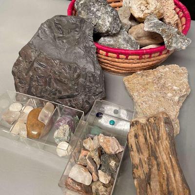 Rocks, Petrified wood, fossils