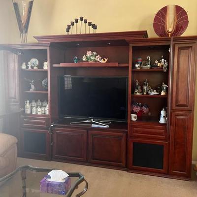 $100 entertainment unit