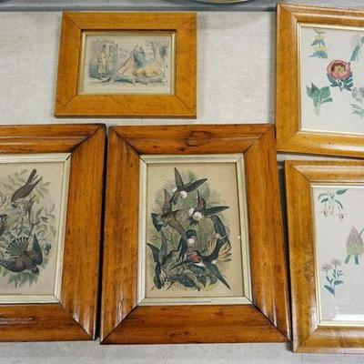 1201	LOT OF 5 FRAMED PRINTS INCLUDING BIRDS, HORTICULTURE AND ENGLISH COACH SCENES, LARGEST APPROXIMATELY 12 IN X 15 IN
