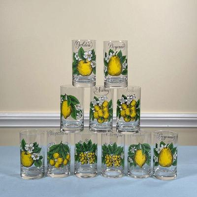 (11pc) D'AUTEUIL GLASSWARE  |
All decorated with yellow fruits - h. 4.25 x dia. 2.5 in.
