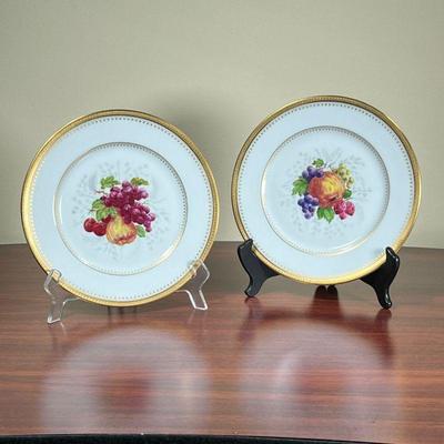 (2pc) HAVILAND LIMOGES PLATES  |
Hand painted plates, including one with pair and grapes, and another with apple, grapes, and berries,...