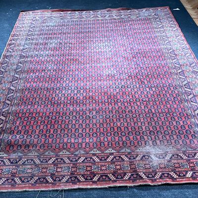 ANTIQUE RUG  |
With even field of guls on a red ground - l. 134 x w. 91 in.
