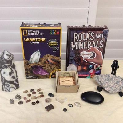 MMT052 Fossil Fish, Rocks, Minerals, Gemstones & More!