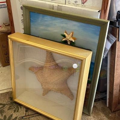 Framed Starfish in Shadow Box