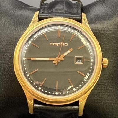 Copha Mens Stainless Steel, Water Resistant Watch