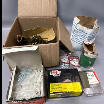 Assorted Nails and Fasteners 