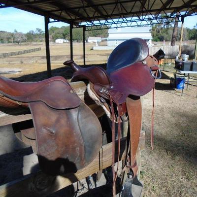 Men's Western saddle 19 inches. Also a 
English jumping saddle K.M.P. 17 1/2 inches