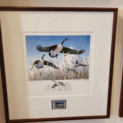 One of many Duck Stamp prints