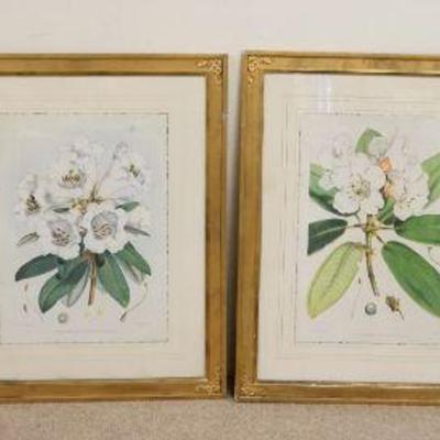 1242	4 BOTANICAL PRINTS, APPROXIMATELY 33 IN X 40 IN
