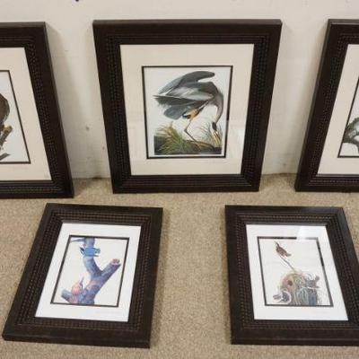 1246	BIRD PRINTS, LOT OF 5, FRAMED AND MATTED INCLUDING BALD EAGLE AND OWL, LARGEST APPROXIMATELY 21 IN X 25 IN
