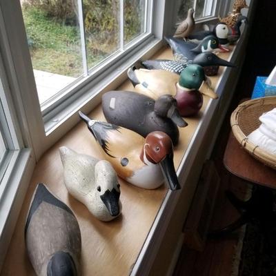 Decoy collection