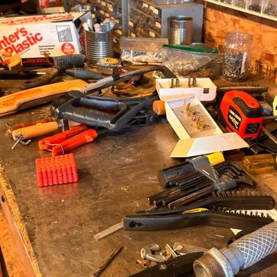Assorted tools, nuts, bolts, camping supplies, and more