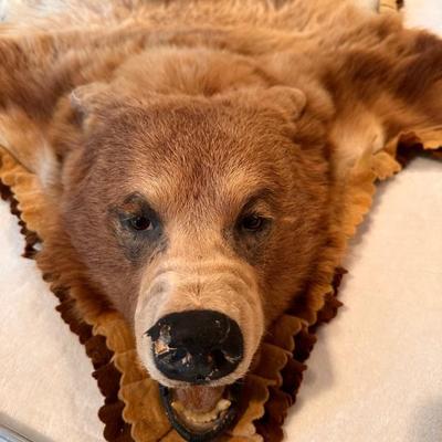 Antique Juvenile Brown Grizzly Bear Accent Rug