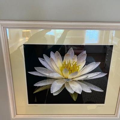 Water lily picture 27â€ W x 24â€ T $32