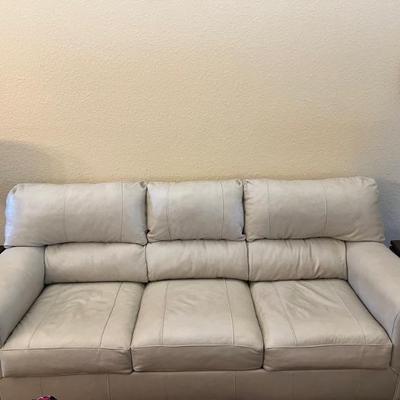 Leather Sofa Sleeper with no recliners