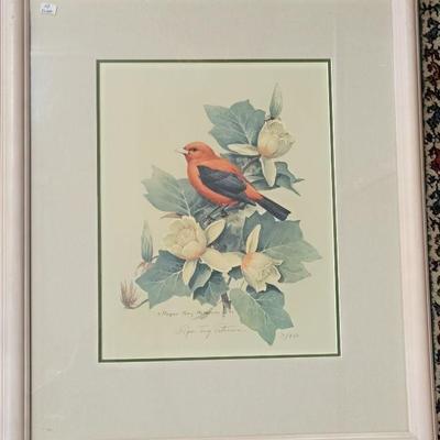 Roger Tory Peterson Scarlet Tanager print 21 x 24