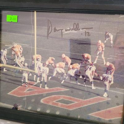 Early Tampa Bay Bucs photo signed by Doug Williams